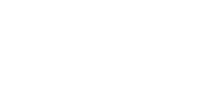Brookstone partner logo